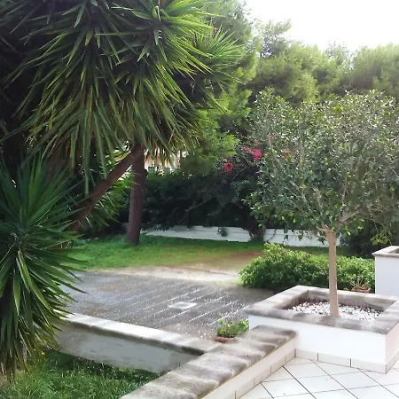 La Cerasa - *